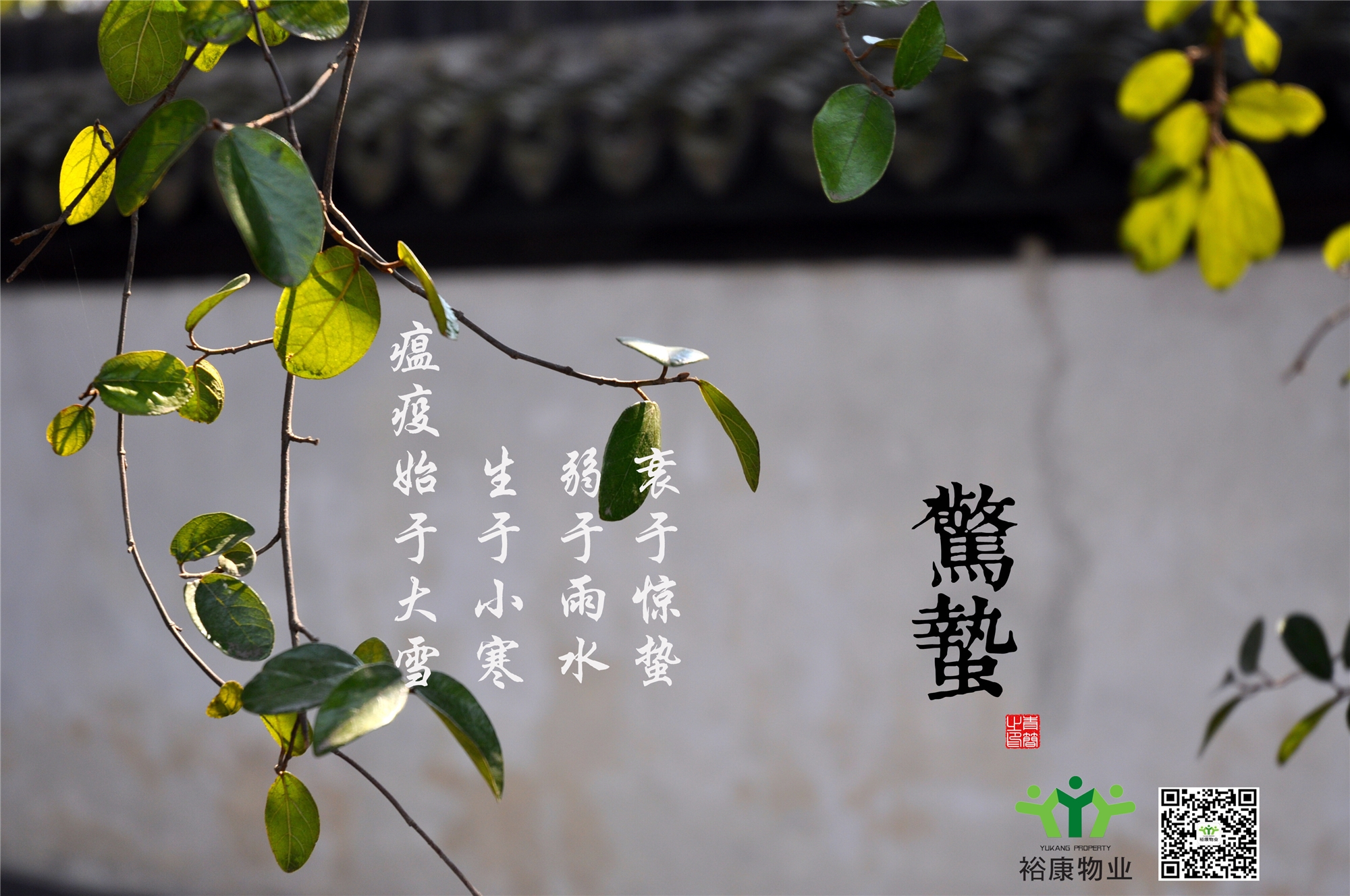 庚子春，二月十二，驚蟄日