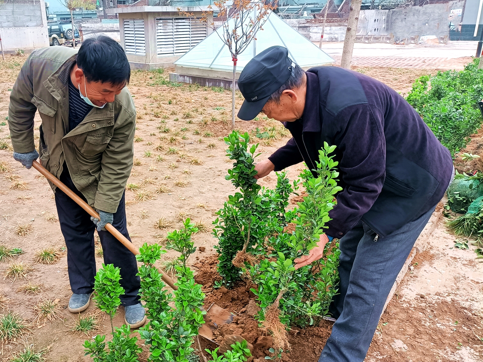 “綠色呼吁”——?？滴飿I(yè)植樹活動